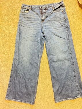 American Eagle high rise baggy wide leg jeans 20 long